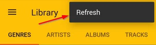 Refreshing the metadata